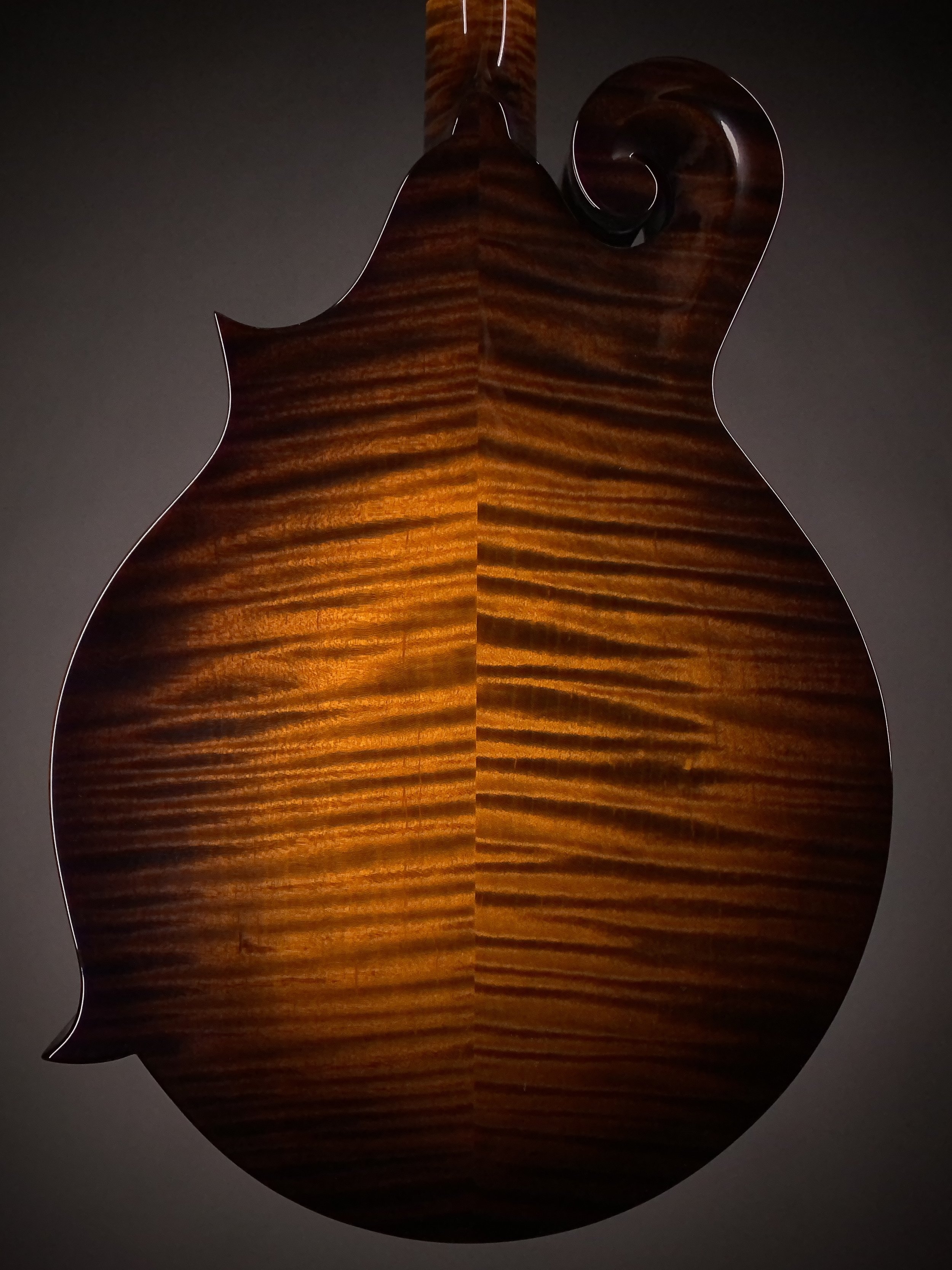 F5S Limited — Northfield Mandolins